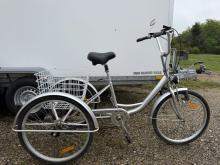 Grå handicap cykel